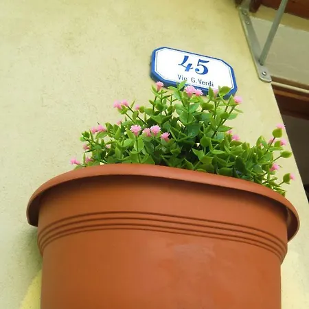 Casa Tainin