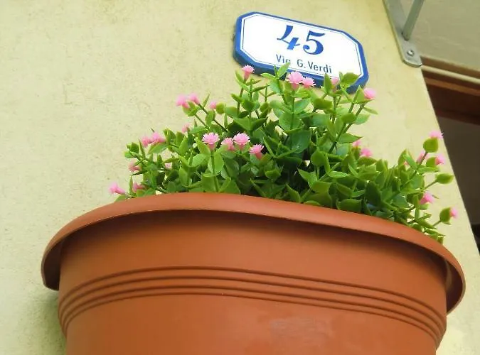 Casa Tainin